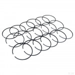 Кольца поршневые (к-т на двигатель) (QSZ13) CP