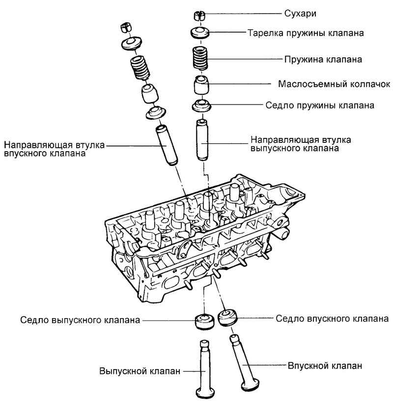 Маслосъемный колпачок схема